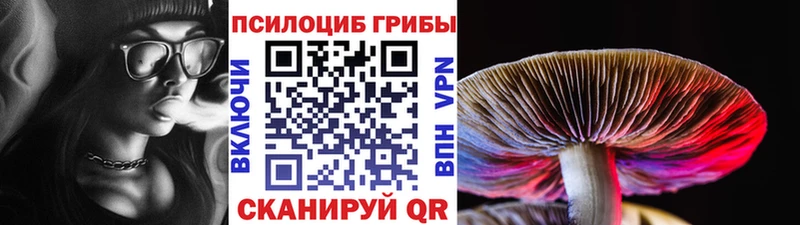 Галлюциногенные грибы Cubensis  Купить закладки  Приволжск 